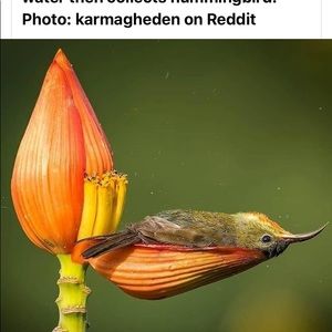 Meet your Posher, Philomena